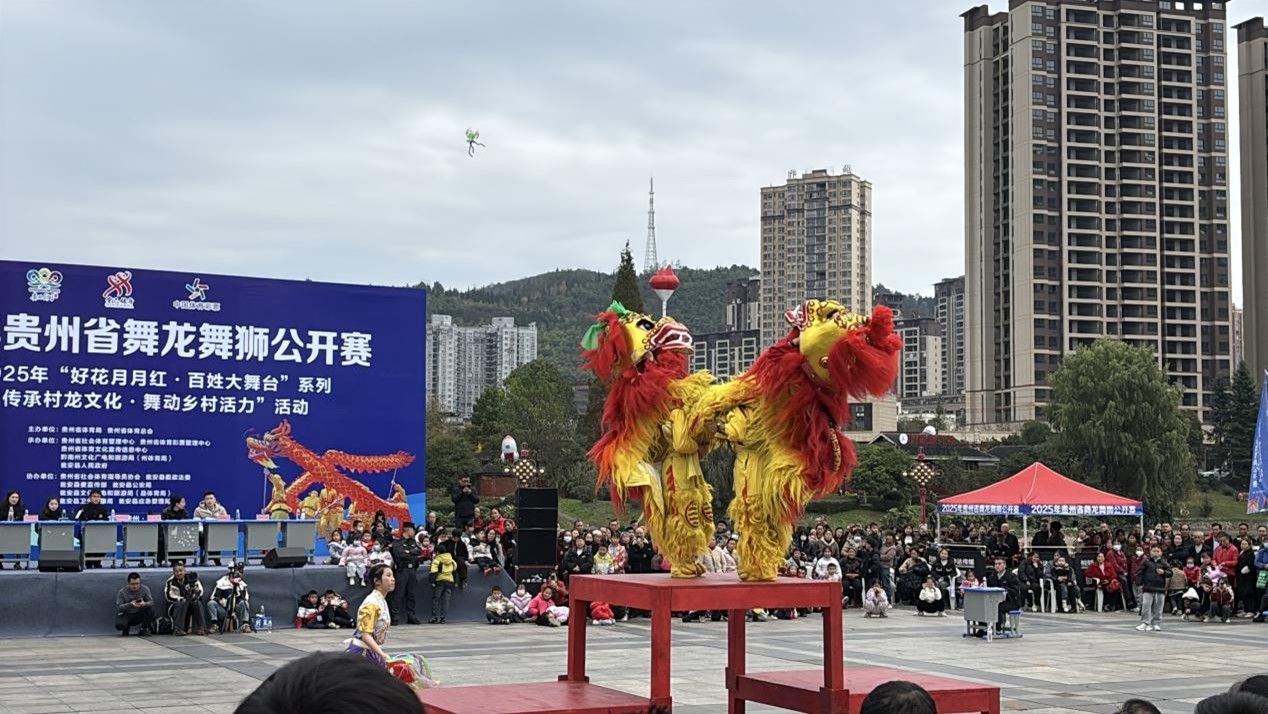 龙腾百岛狮耀洞头！2026年浙江省舞龙舞狮争霸赛即将启幕(图1)