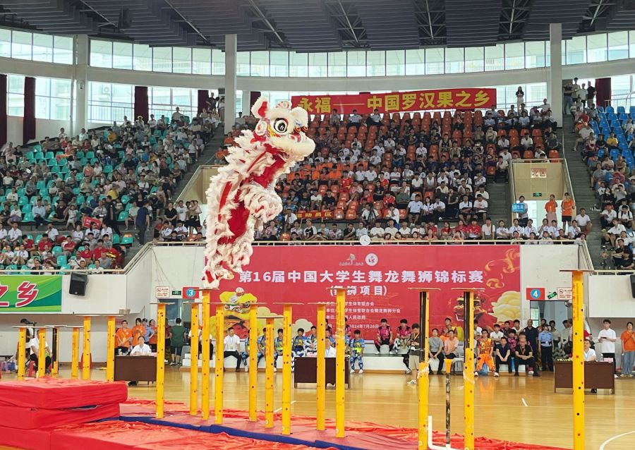 龙腾百岛 狮耀洞头！2026年浙江省舞龙舞狮争霸赛在洞头启幕(图1)