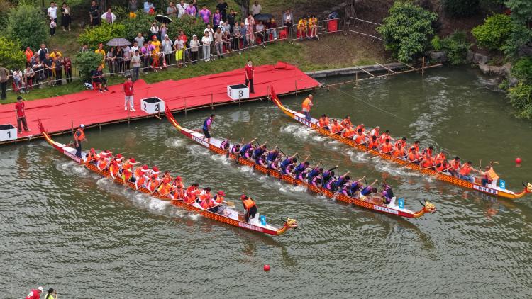 春风逐梦热血不息｜河师大校运会我们赛场见！(图1)