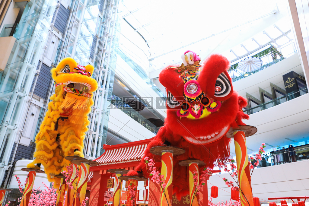 东莞八中自主招生席位开抢足球、航天、艺术三大赛道齐开放(图1)