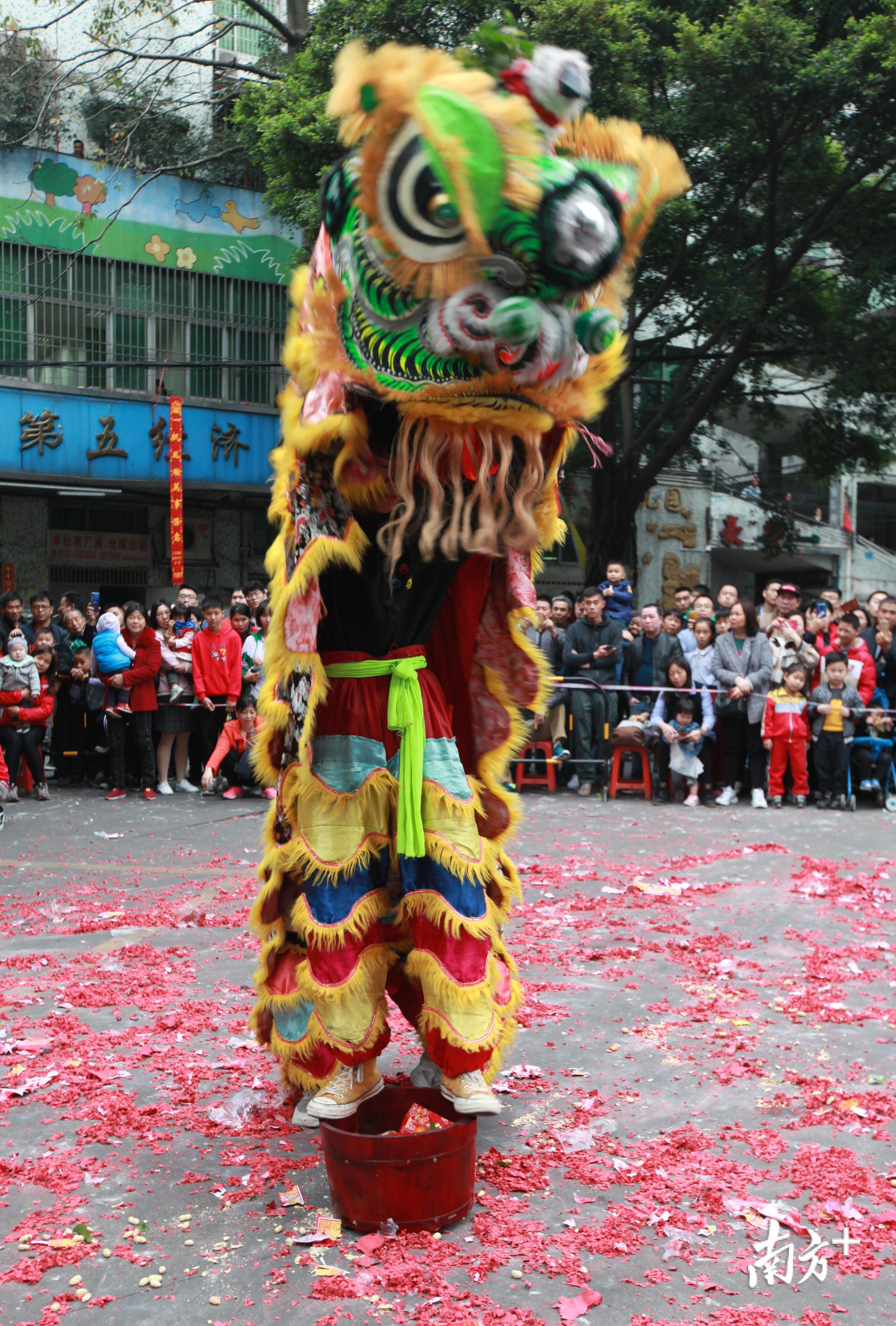福州首届!超燃龙狮比赛在闽侯校园举行(图1)