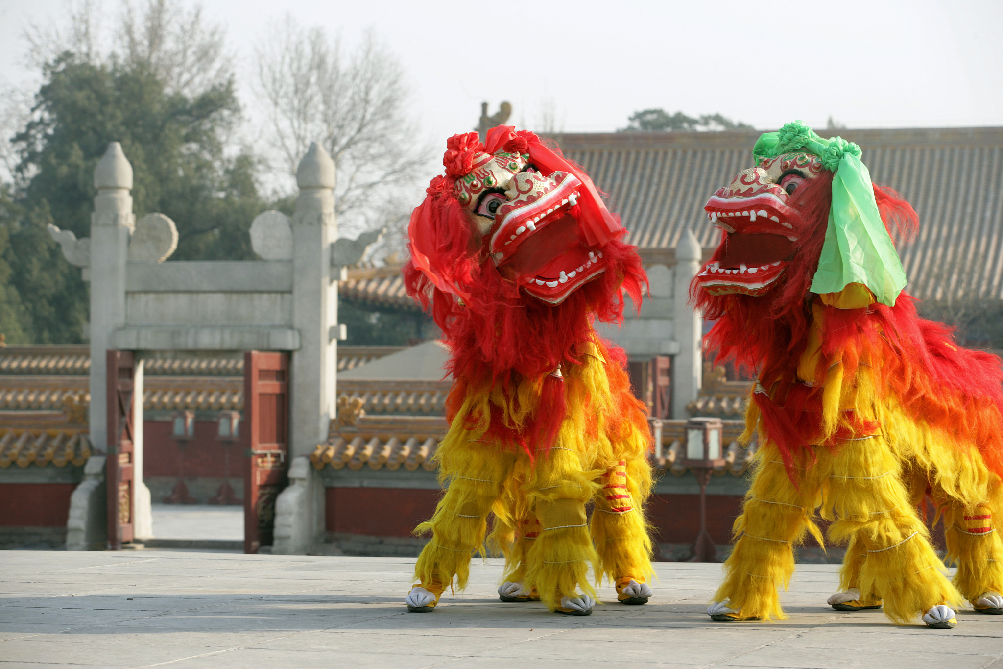 张泽禹早年珍贵视频不仅耿直可爱还有一个为他哭的好兄弟(图1)