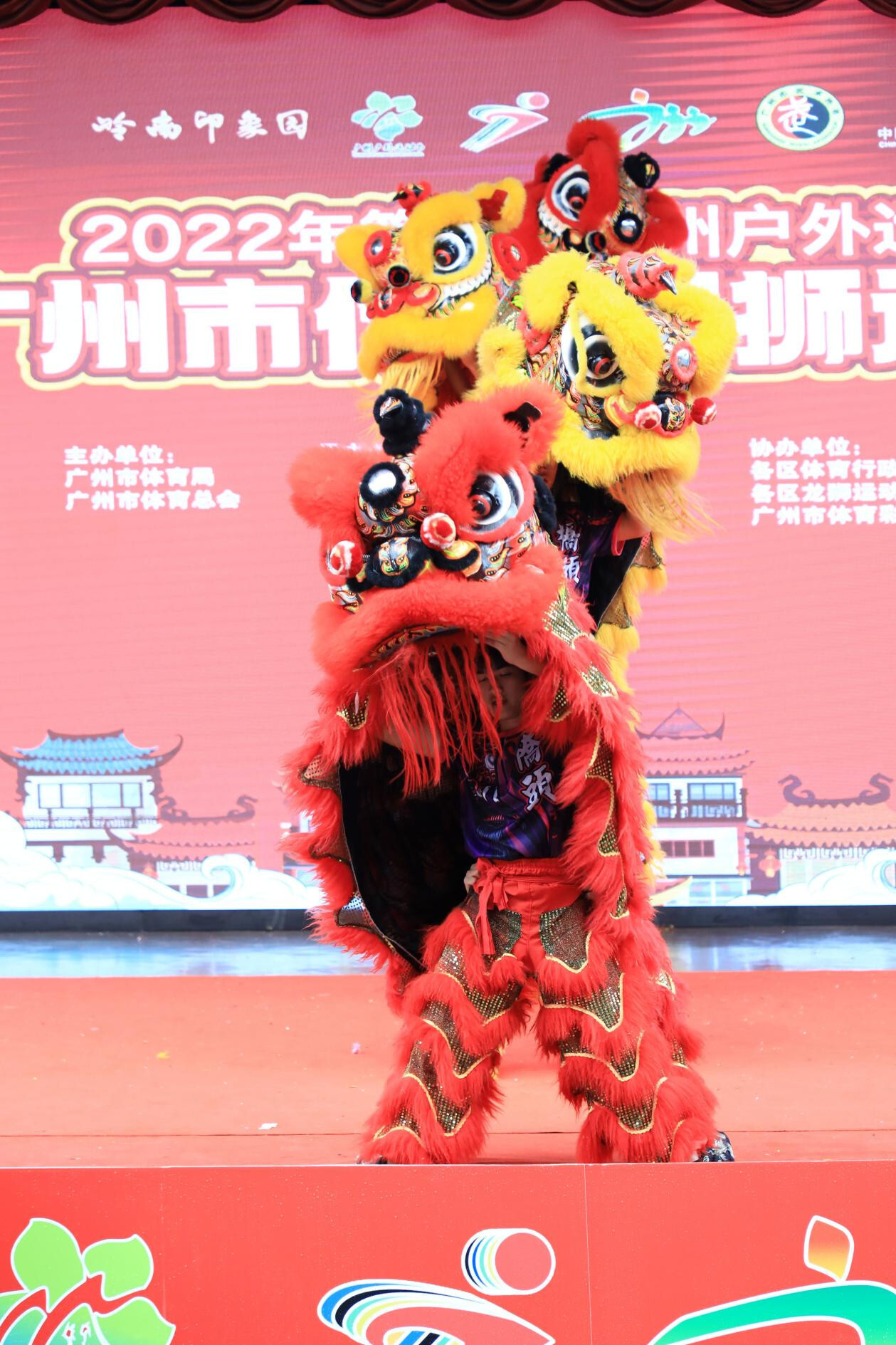 鼓点铿锵醒狮腾跃粤港澳联队携手折桂