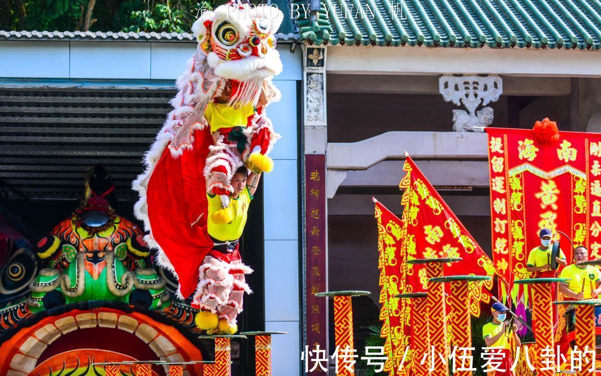 从梅花桩到“云端”龙狮非遗技艺舞动少年心(图1)